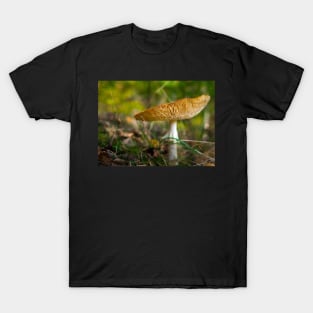 Poisonous fly agaric mushroom T-Shirt